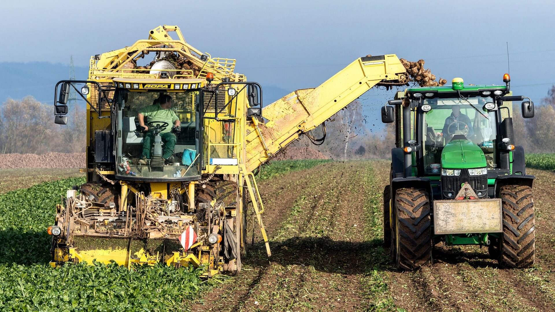 Commercial farming tractor and combine harvester during harvest season